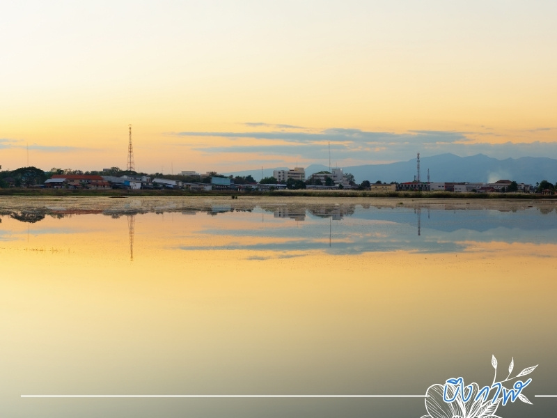 รถตู้วีไอพีให้เช่า บึงกาฬ รถตู้วีไอพีให้เช่า บึงกาฬ